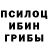Галлюциногенные грибы Cubensis bloodgame 126