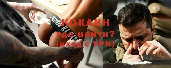 стафф Алзамай