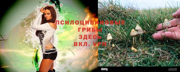ешки Алексин