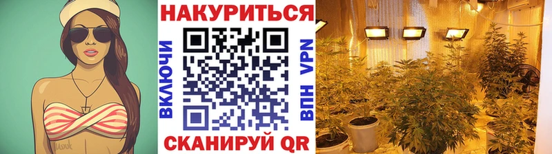 Канабис THC 21%  Буй 